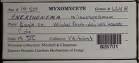 Image Associated With the Occurence